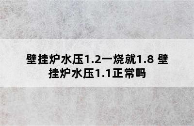 壁挂炉水压1.2一烧就1.8 壁挂炉水压1.1正常吗